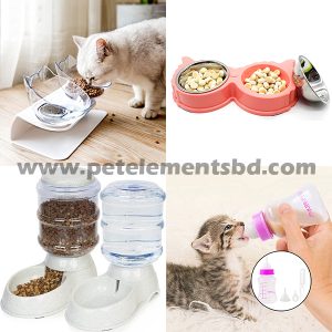 Cat Feeding Bowl & Feeder